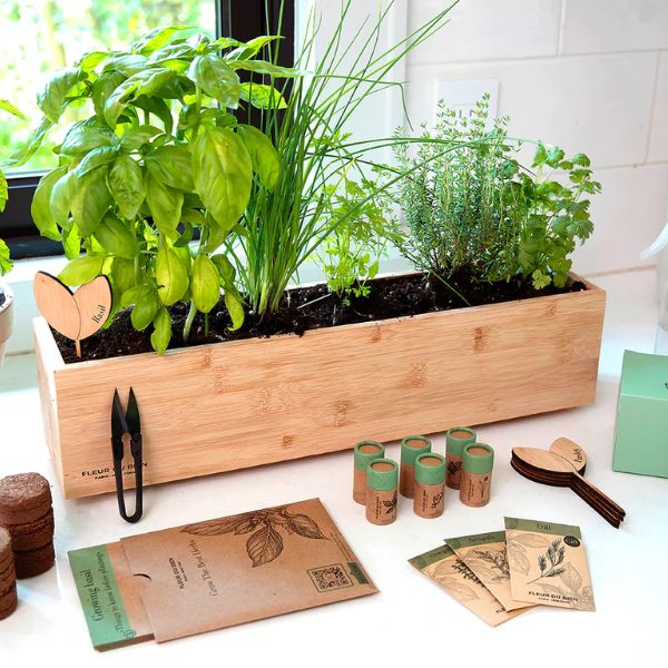 Grow your own herbs with a DIY Herb Garden Kit, for green thumbs.