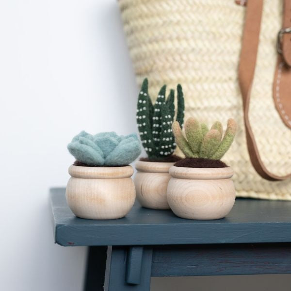DIY Succulent Needlefelting Set for crafting miniature plant replicas, a charming diy gift for girlfriend