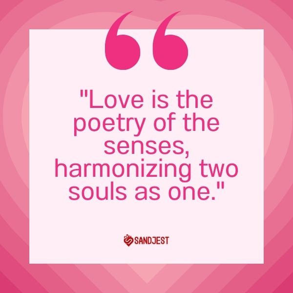 Vibrant magenta backdrop enhances a deep true love quote, resonating with the harmony of souls.