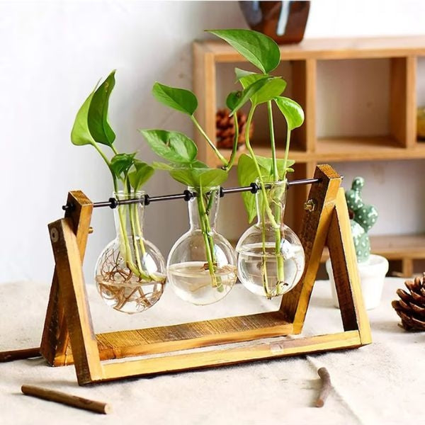Desk Plant is a refreshing gift for teachers to enhance their workspace.