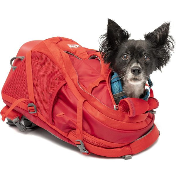 A sturdy Dog Backpack Carrier, a practical dog mom gift for adventures with your furry friend, designed for both comfort and convenience.