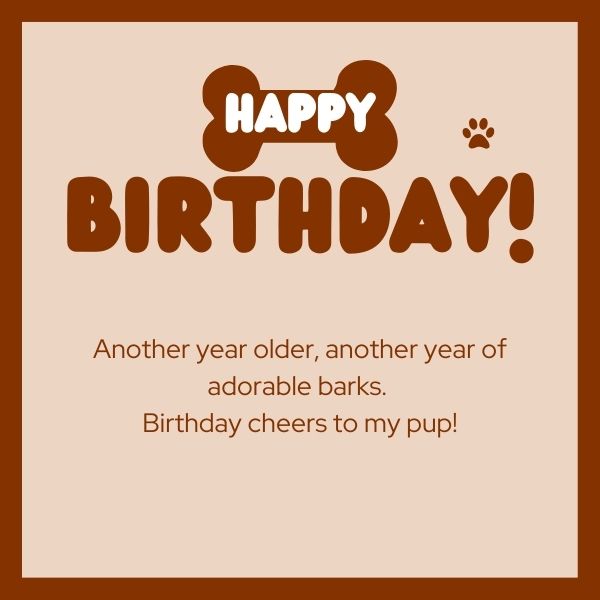 Birthday greeting for a dog with paw prints and a message of cheer for another year.