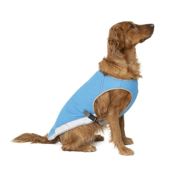 A cute and happy dog wearing a cooling vest, a perfect gift for dog dads.