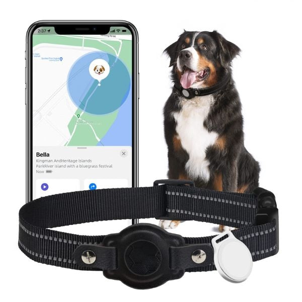 Experience peace of mind with a state-of-the-art dog GPS device, ensuring the safety and security of your furry friend during every adventure