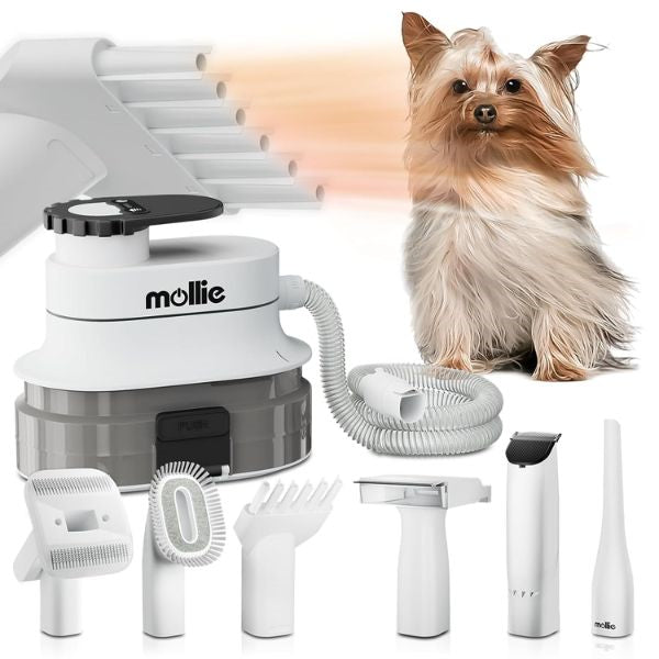 A comprehensive dog grooming kit, the perfect gift for pampering your pup.