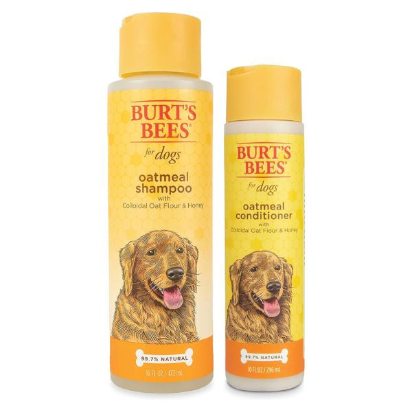 High-quality dog shampoo and conditioner set, the essential gift for a dog's bath time.