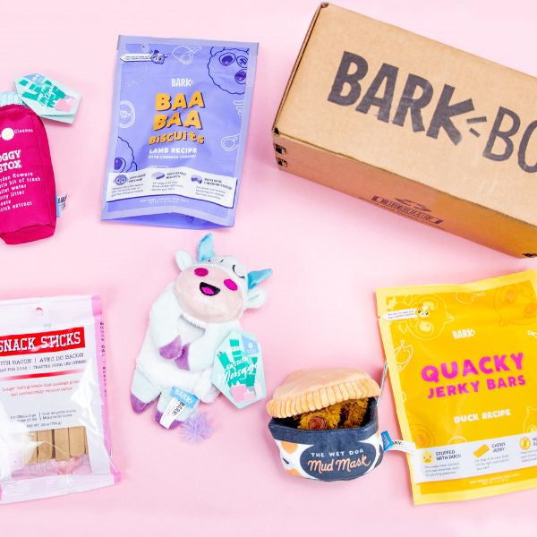 An inviting image of a dog subscription box brimming with treats and toys, an exciting choice for dog mom gifts.