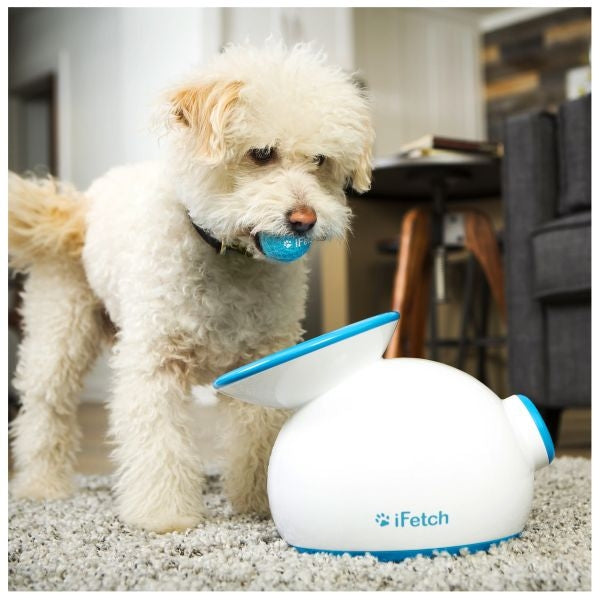 Discover a wide array of fantastic gifts for dog dads, including the innovative Dog Toy Ball Launcher