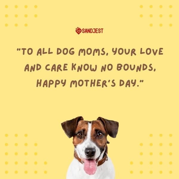 A dog between two embracing hands, epitomizing mothers day dog mom quotes.