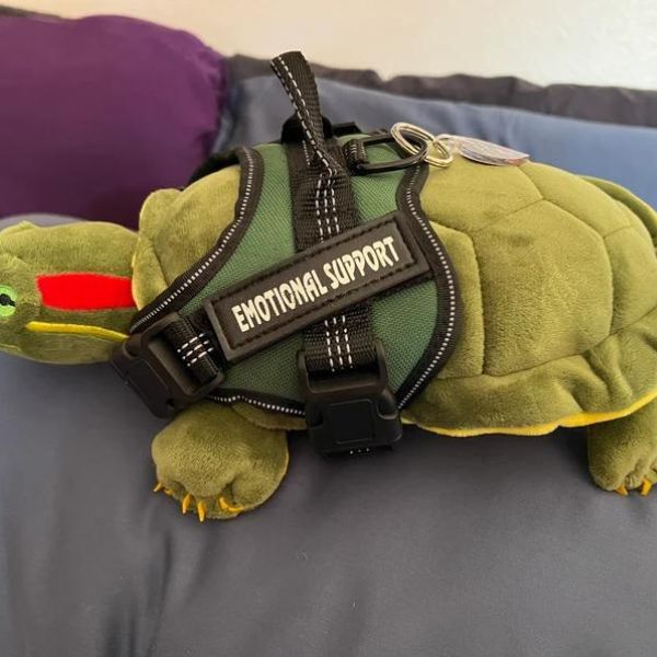 Emotional Support Green Red Eared Slider Turtle Plush Stuffed Animal, a comforting gift for turtle gifts.
