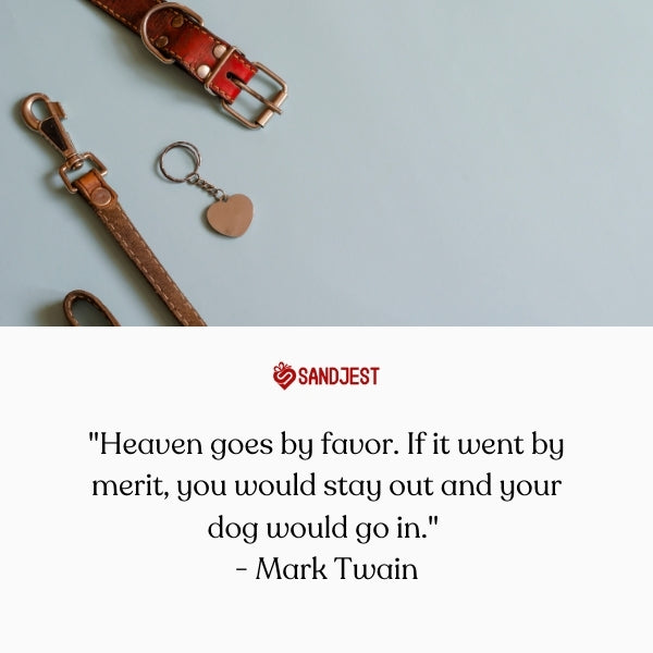 Dog loss quotes touch hearts, like Twain’s witty words on favor in heaven.