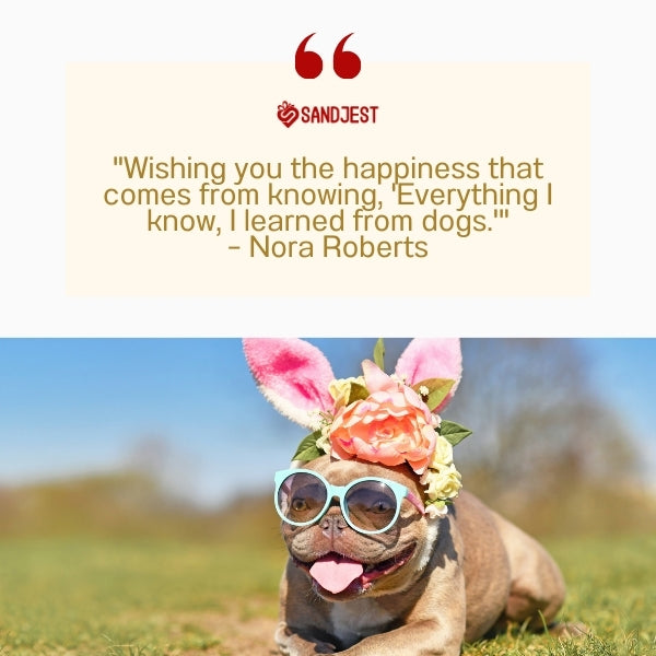 A pug wearing bunny ears and glasses illustrates famous funny dog quotes about learning from dogs.