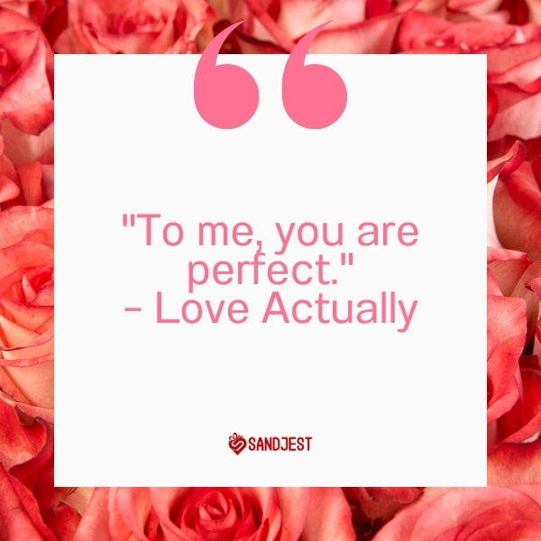 Rose petals backdrop enhances the quote from 'Love Actually', 'To me, you are perfect.'