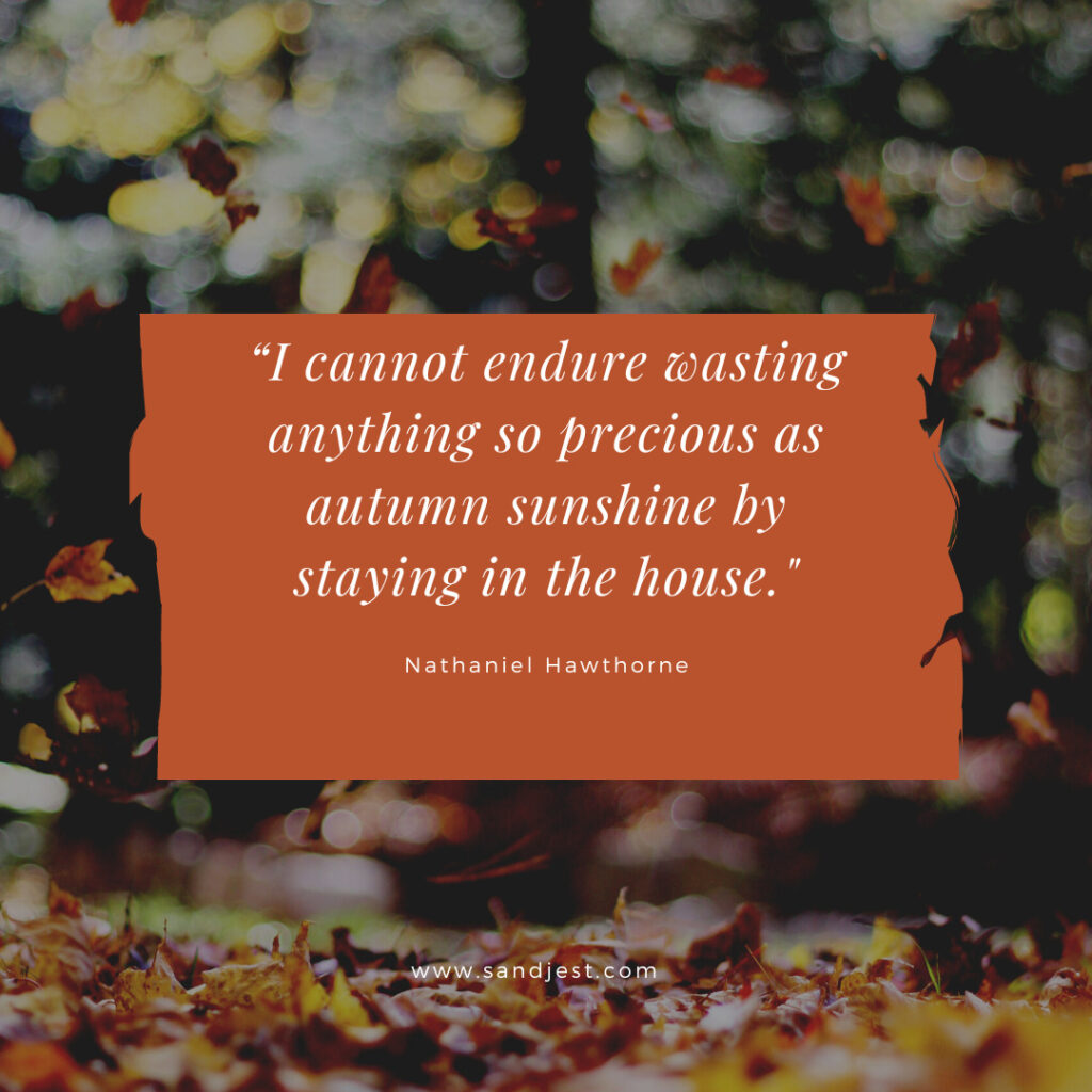 Inspirational autumn sayings to capture the best autumn moments