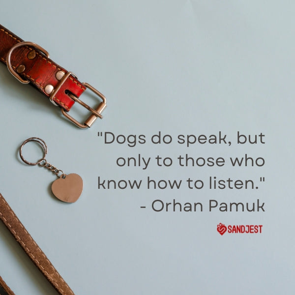 Sandjest image of dog collar and keychain with a quote by Orhan Pamuk.