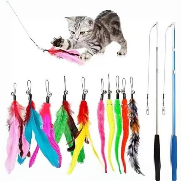 Entertain your feline friend for hours with our playful feather wands!