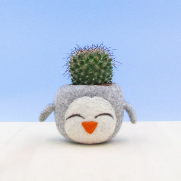 Felted Penguin Succulent Planter is a charming home for your succulents.