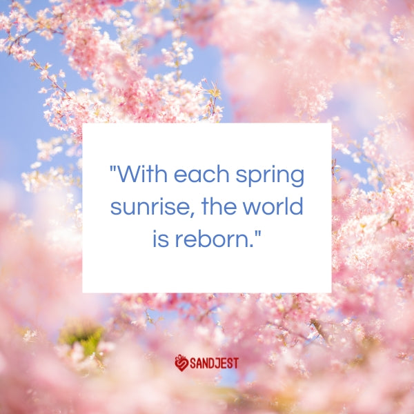 A bright spring sunrise illuminates the tender quote about rebirth and renewal.