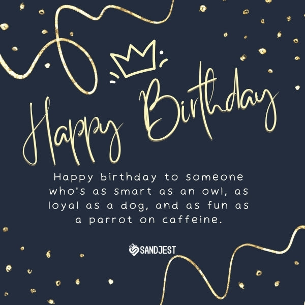 Sandjest birthday greeting card with golden confetti and a witty quote comparing intelligence and fun, featuring funny birthday quotes for brother.