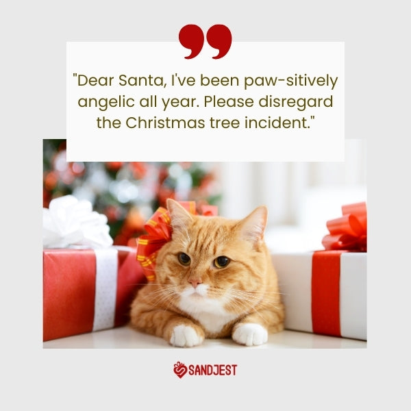 A determined orange cat sits beside Christmas gifts, humorously pleading innocence to Santa