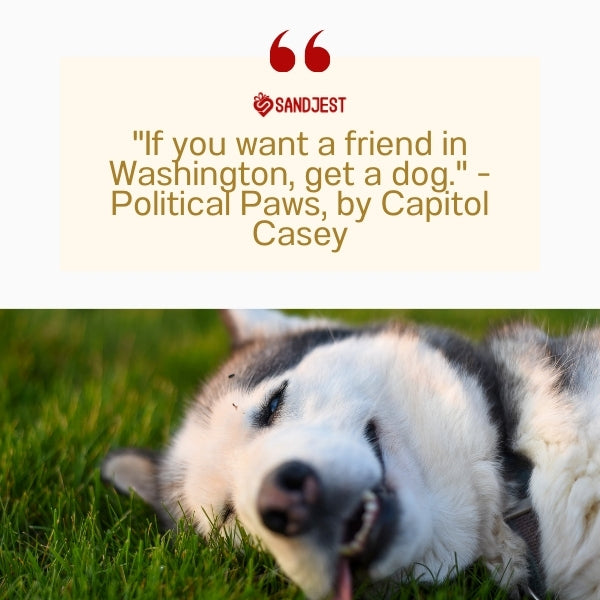A dog relaxing on the grass, channeling funny dog quotes from literature by Capitol Casey.