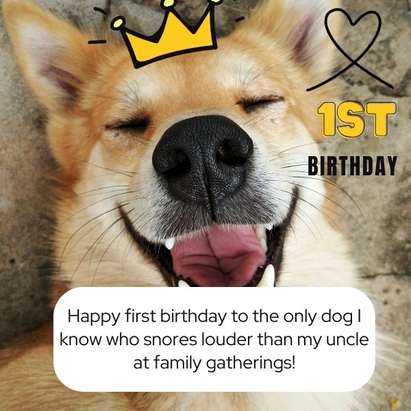 Joyful dog on its 1st birthday with a humorous message comparing its snoring to family.
