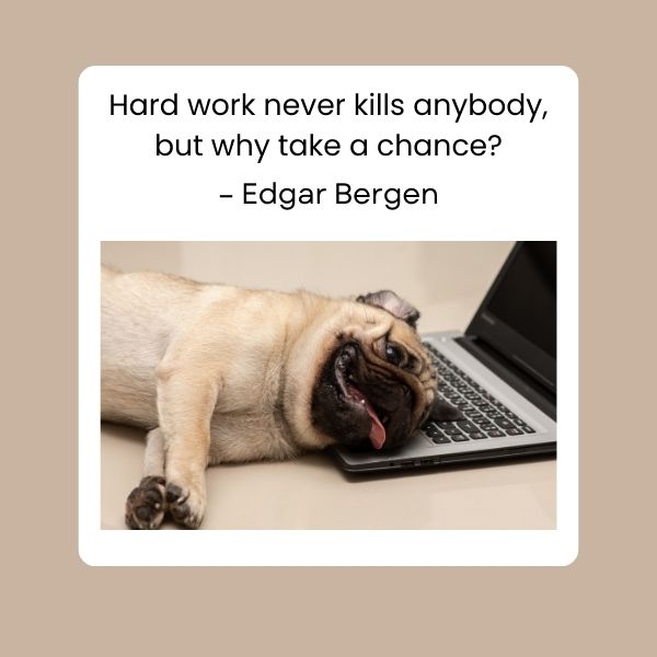 Hilarious insights into work life balance with funny career quotes