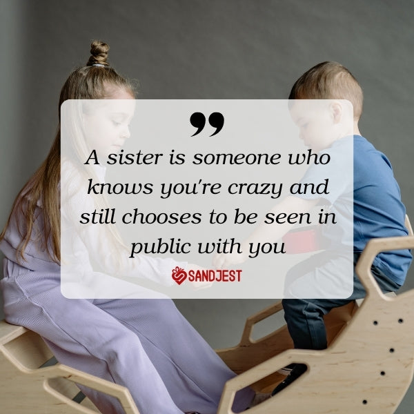 Cherish sibling bonds with funny quotes that appreciate sisters.