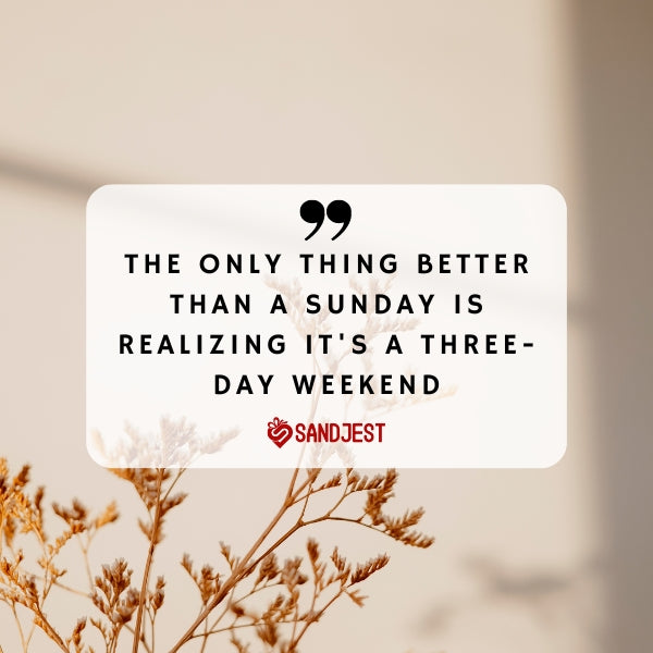 Laugh out loud with funny Sunday quotes to lighten your weekend mood