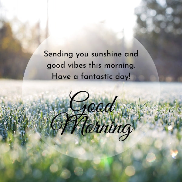 Dew on grass with sunrise and text ‘Good Morning, sending you sunshine and good vibes this morning for a fantastic day.’