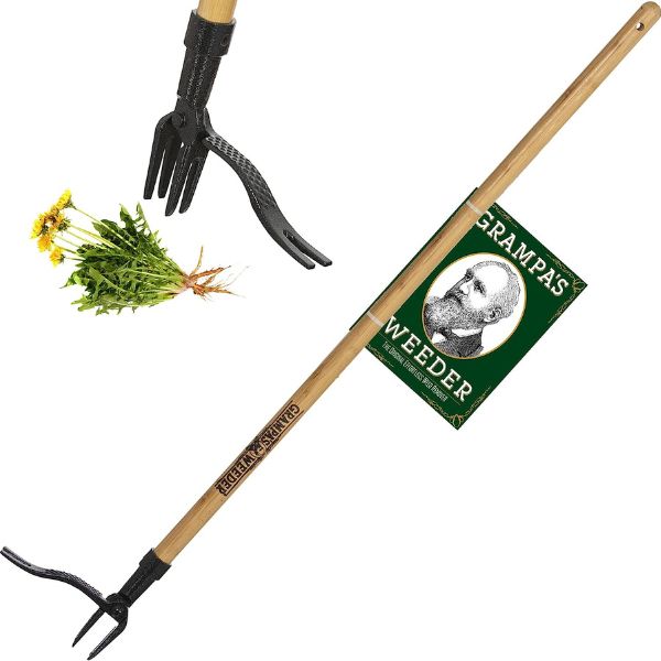 Grampa's weeder, classic gardening gift for dad, perfect for removing weeds.