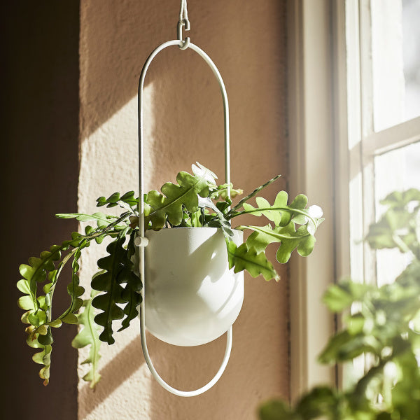 Stunning and versatile collection of hanging planters are the perfect way to elevate mom’s gardening experience and bring a touch of natural beauty to any space.