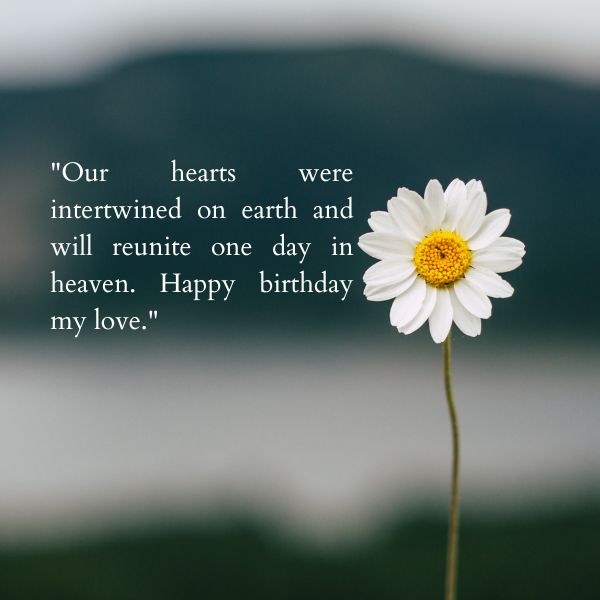 Single daisy with a quote about hearts reuniting in heaven on a birthday.