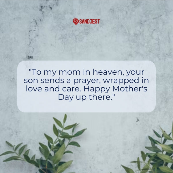 A serene image with green foliage for tender mothers day in heaven quotes from son.