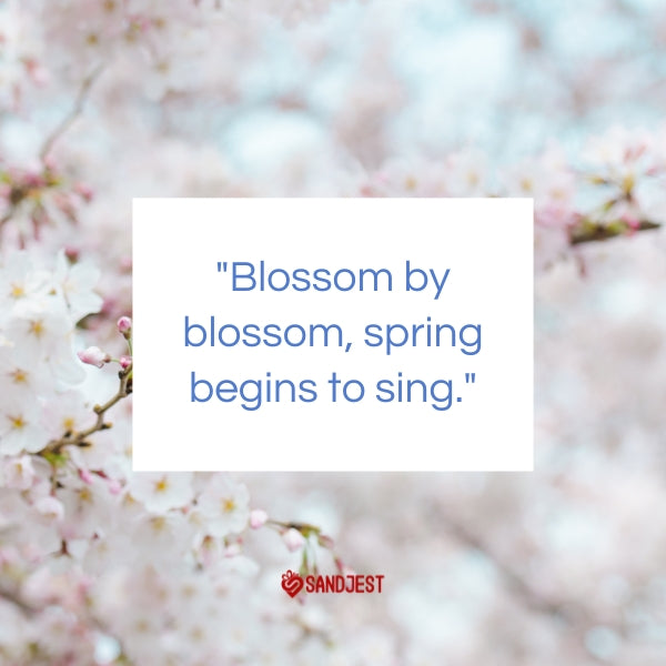 Soft cherry blossoms encircle an uplifting message about the arrival of spring.