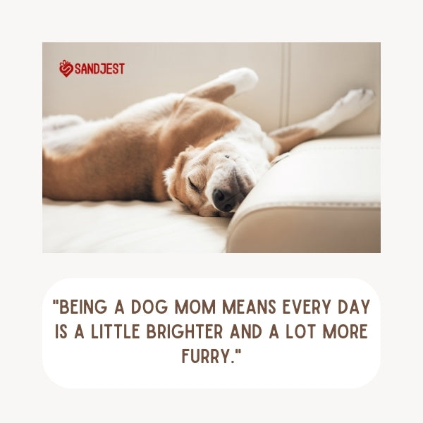 A sleeping dog on a couch symbolizes the serenity of happy dog mom quotes.