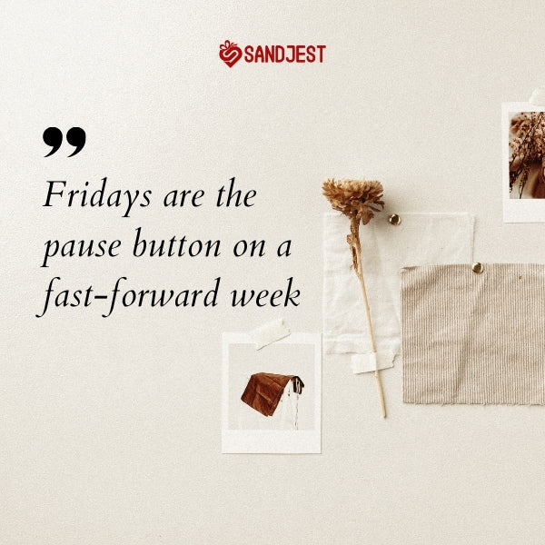 Funny Friday quotes to celebrate the start of the weekend