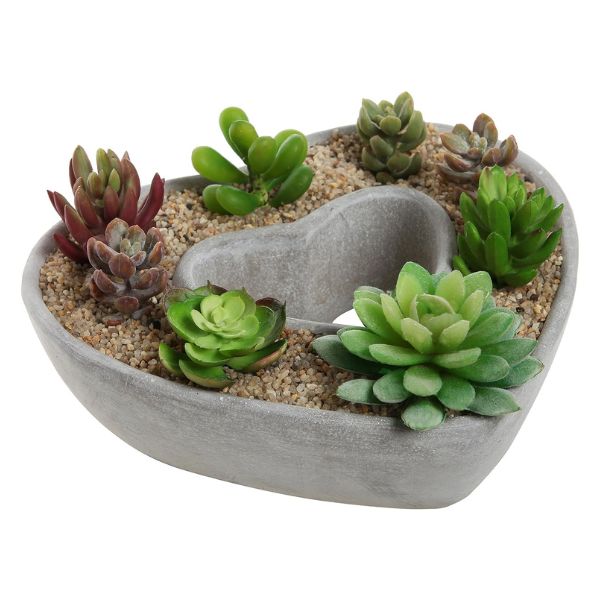 A captivating Heart-Shaped Succulent Garden, a unique and enduring gift to symbolize the 45 years of growth and love in your marriage.