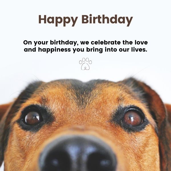 Close-up of a dog's face with a birthday celebration message emphasizing love and happiness.