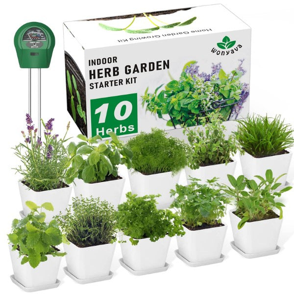 A complete herb garden kit, a fantastic DIY gift for mom's culinary adventures.