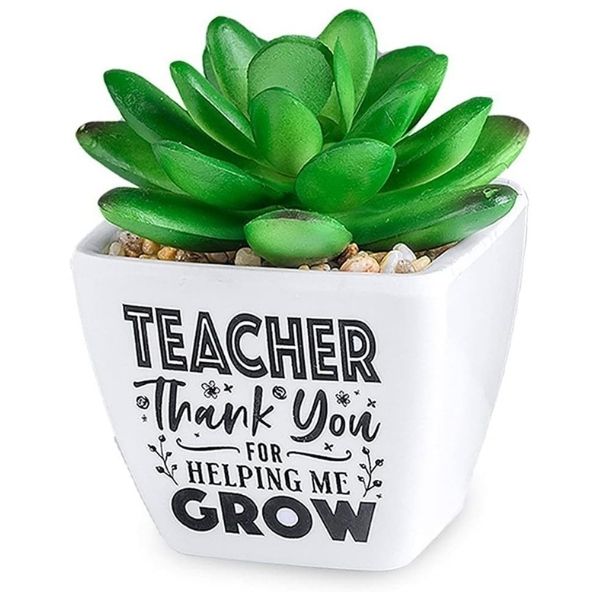Add a touch of greenery with History & Heraldry Sentiment Succulent Artificial Plant Pot, a low-maintenance gift for teacher valentine gifts.