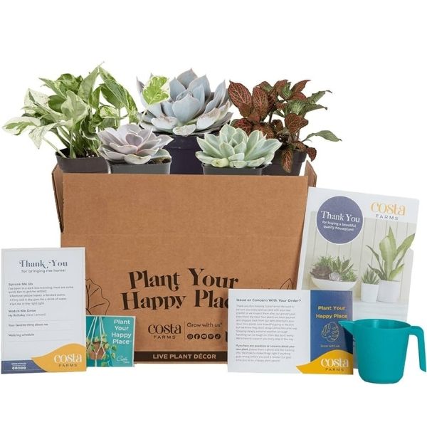 House Plant Monthly Box Subscription christmas gift for stepmom