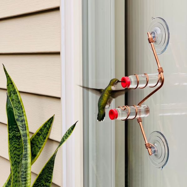 Hummingbird Window Feeder invites these tiny wonders right to your window.