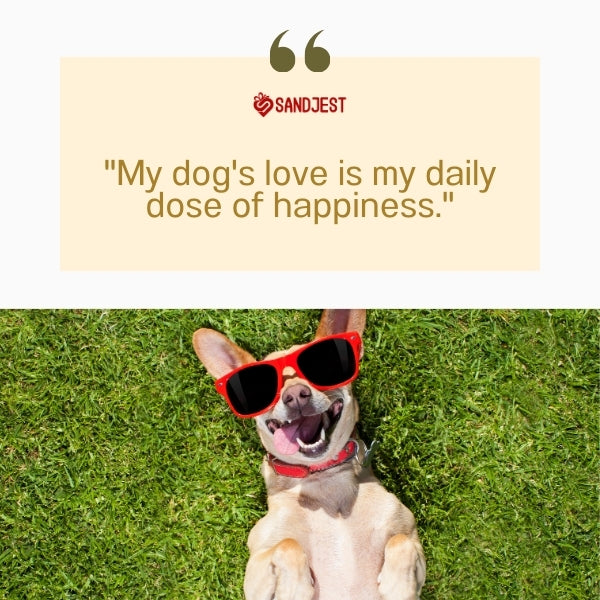 Happy dog on grass defines I love my dog quotes.