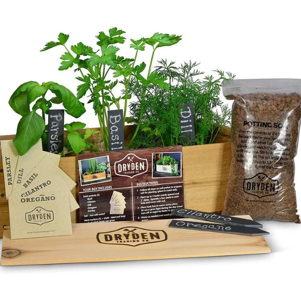 Embrace freshness with an indoor herb garden basket, a delightful Mother's Day gift idea.