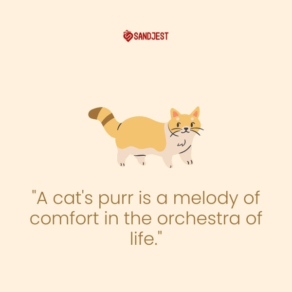 Illustration of a cat with a quote about the comforting melody of a cat's purr.