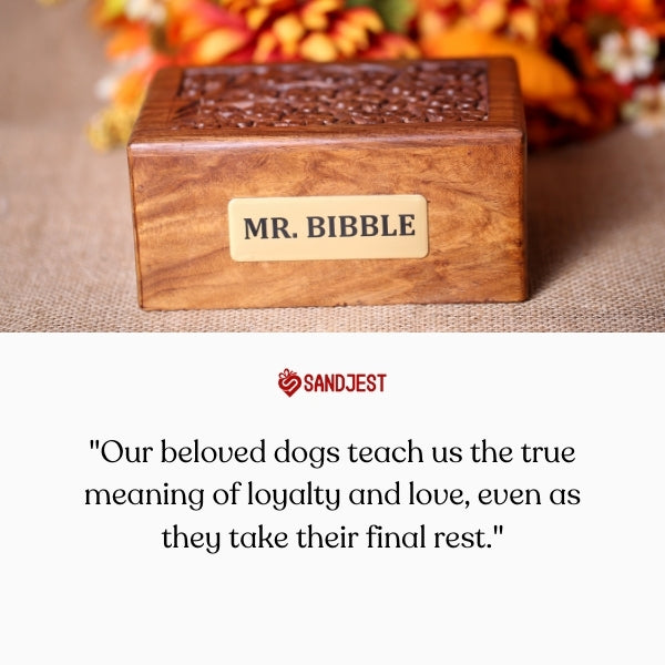 Inspirational quotes for loss of a dog celebrate their undying loyalty.