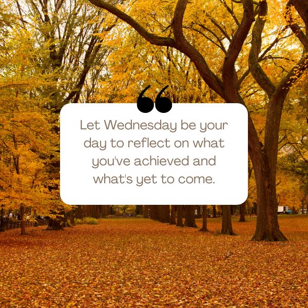 Heartening and inspirational phrases perfect for empowering your Wednesday