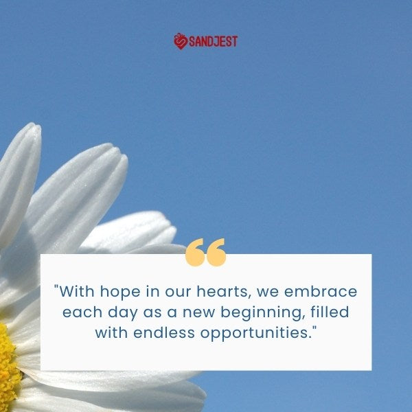 A close-up of a daisy against a blue sky translates to an inspirational quote about hope, symbolizing new beginnings.