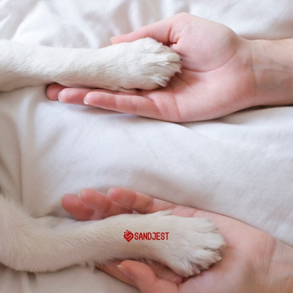 A tender moment of a human hand and a dog's paw representing the bond for dog mom quotes article.